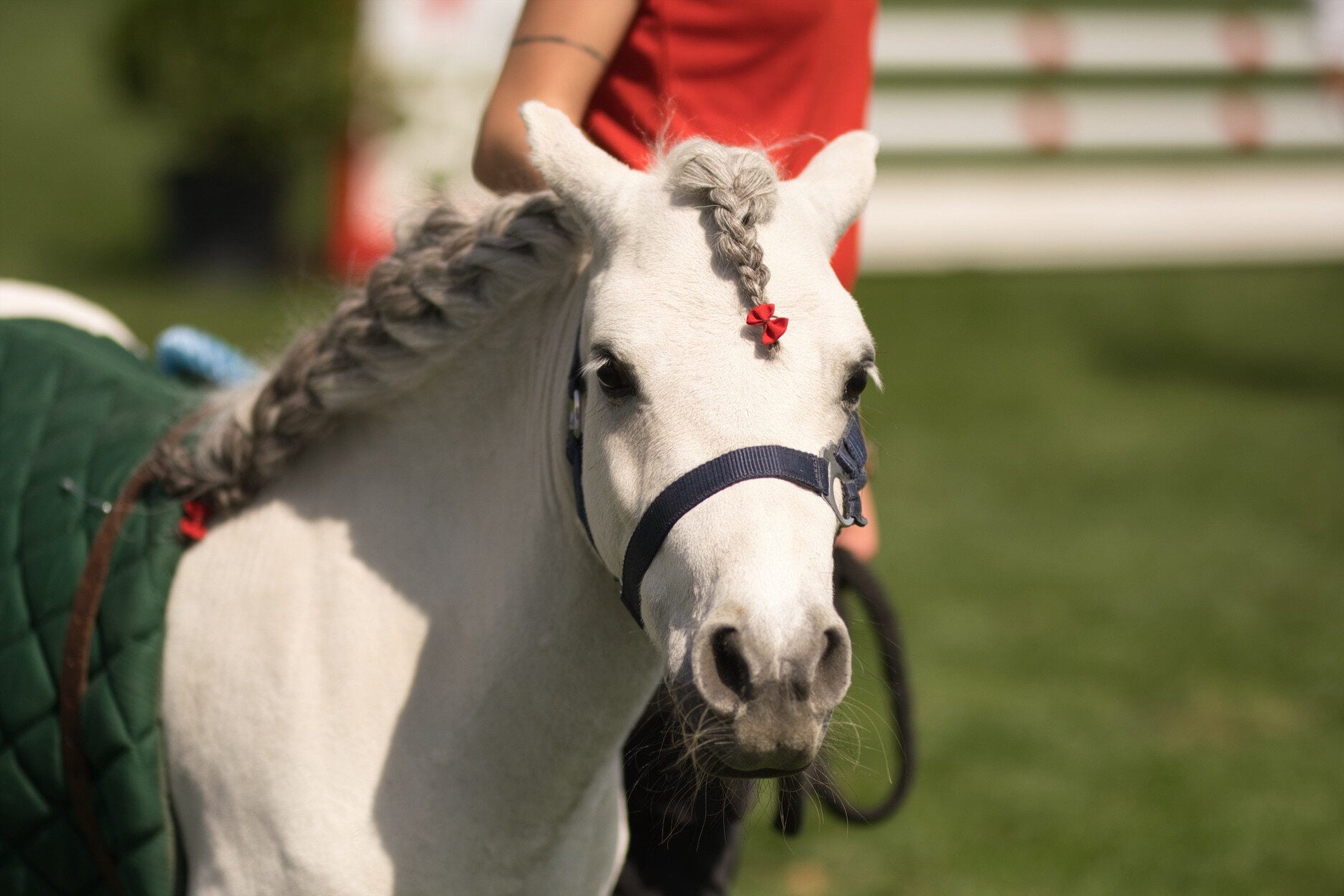 Event photography — AKS KJ Photography