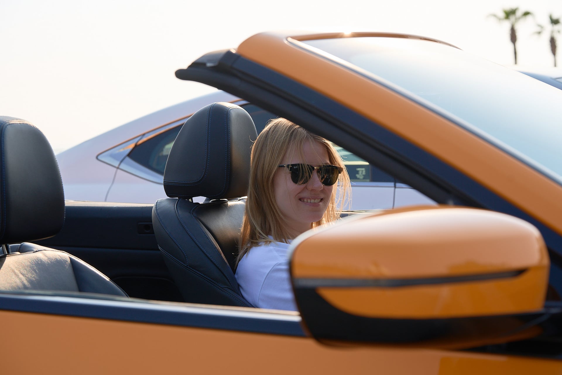 Horse Portraits — AKS KJ Photography