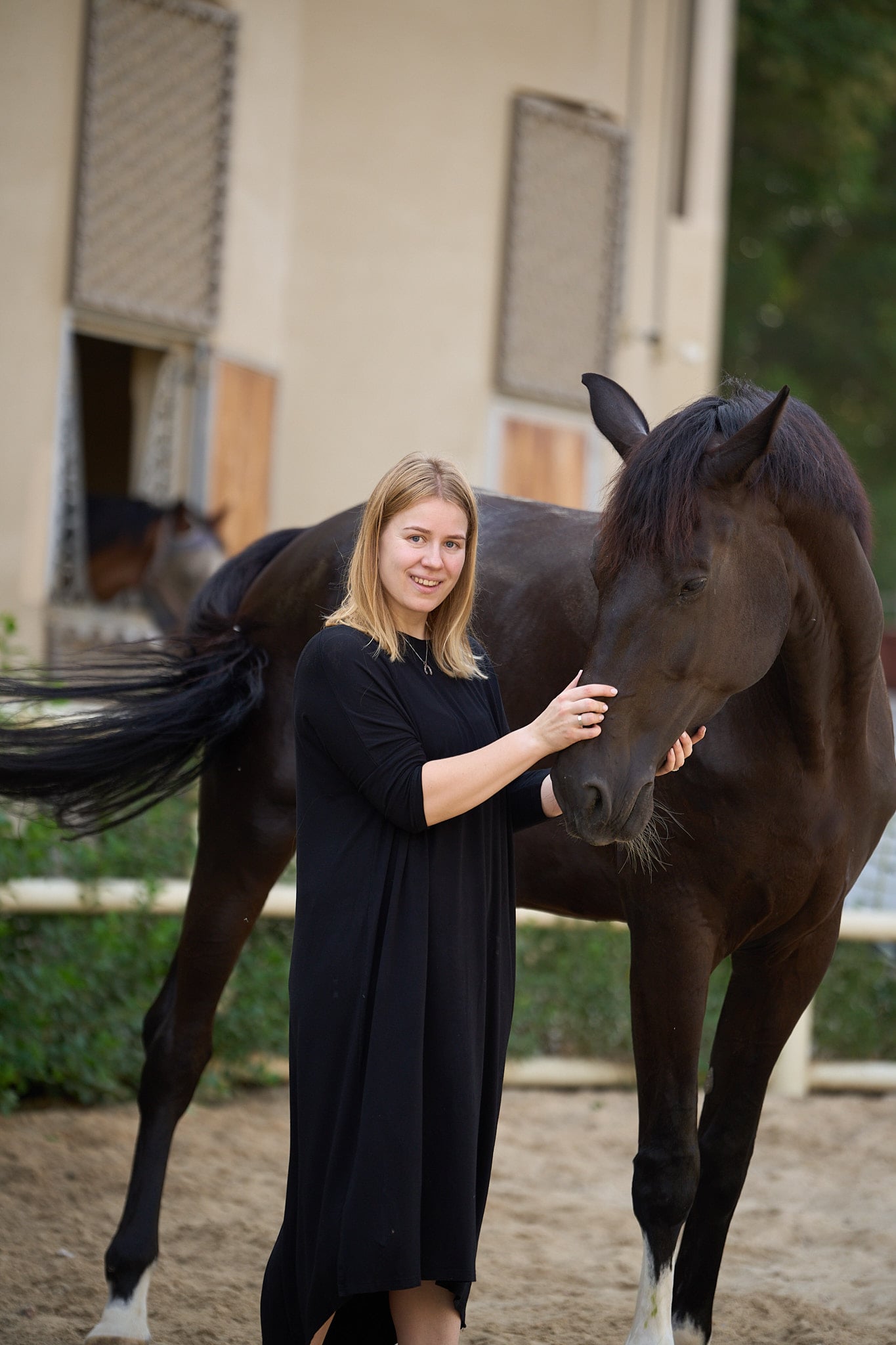 Horse Portraits — AKS KJ Photography