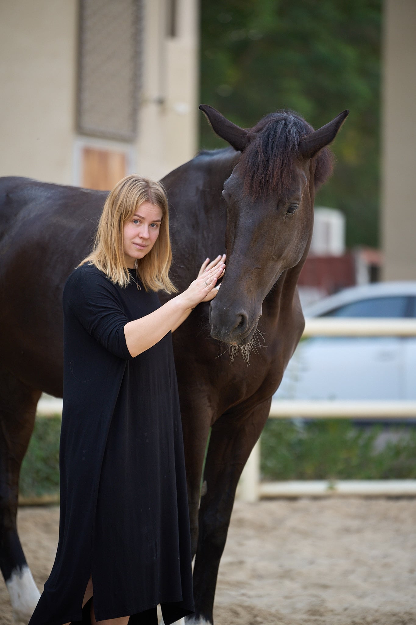 Horse Portraits — AKS KJ Photography