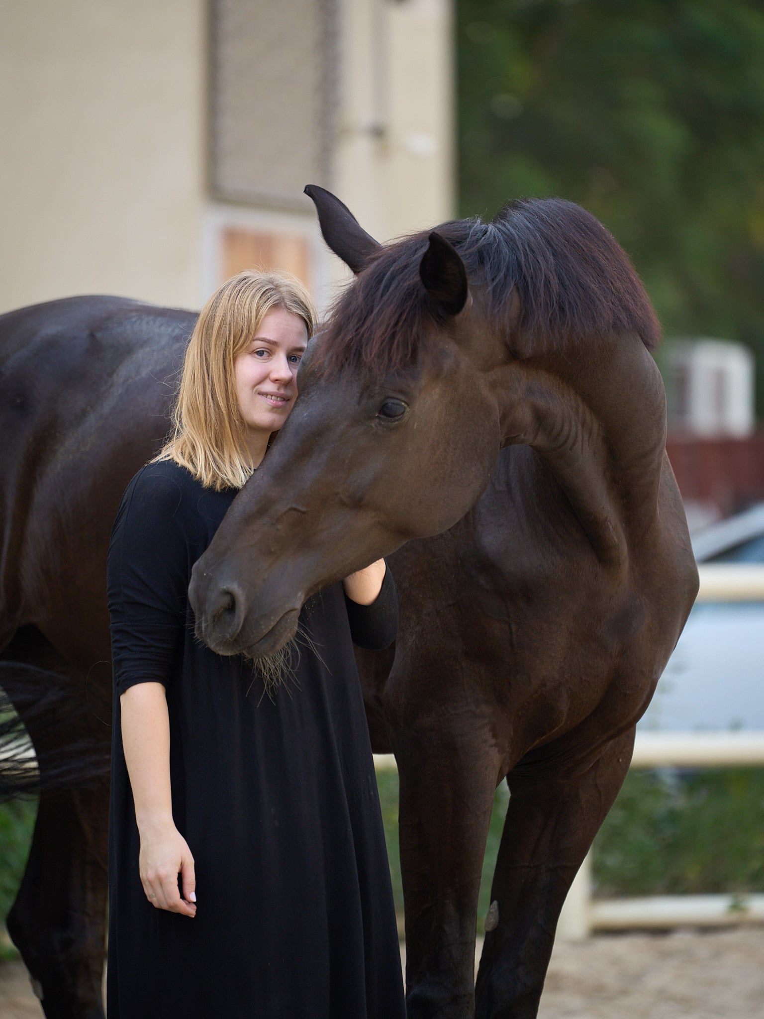 Horse Portraits — AKS KJ Photography