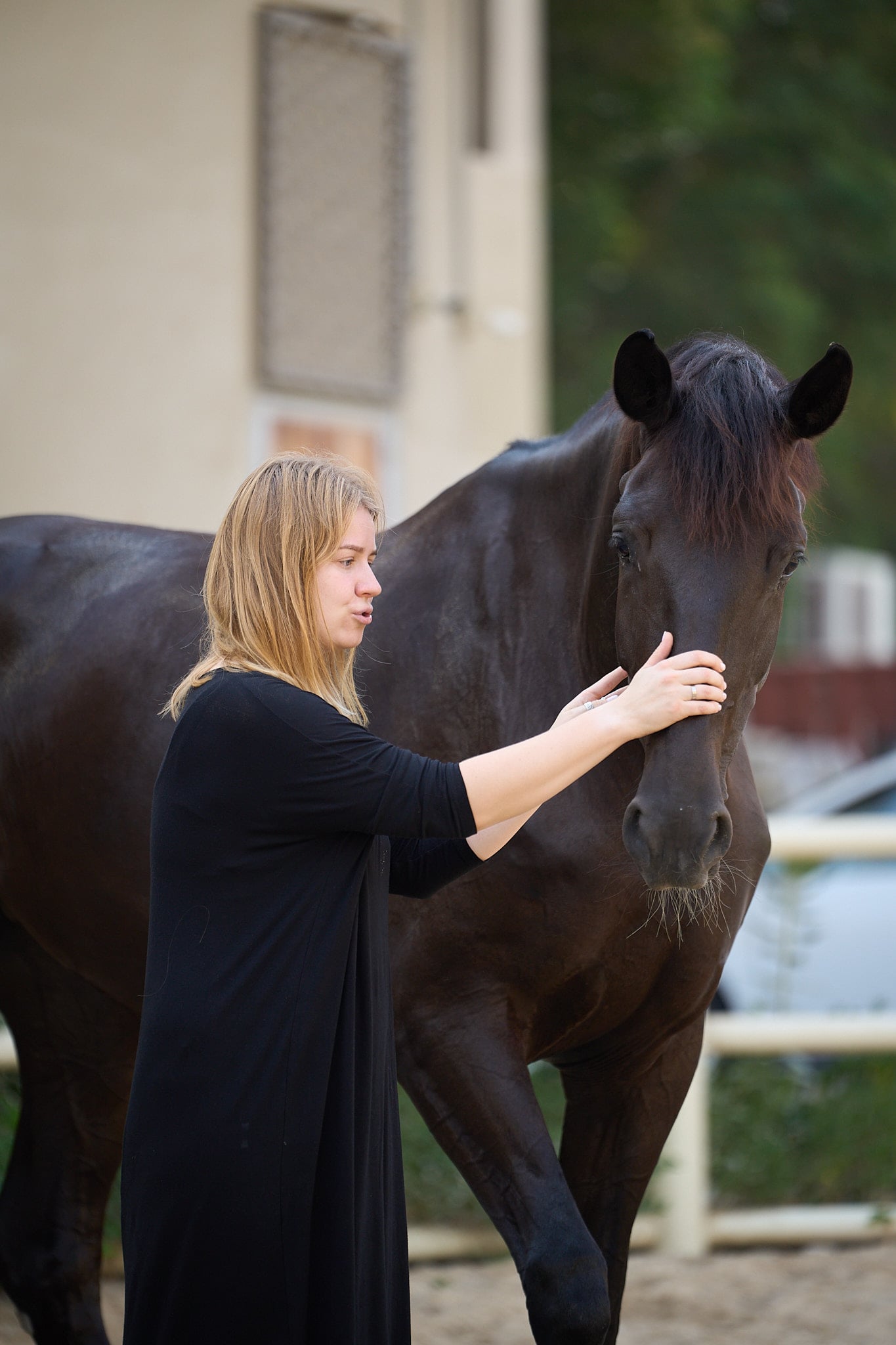 Horse Portraits — AKS KJ Photography
