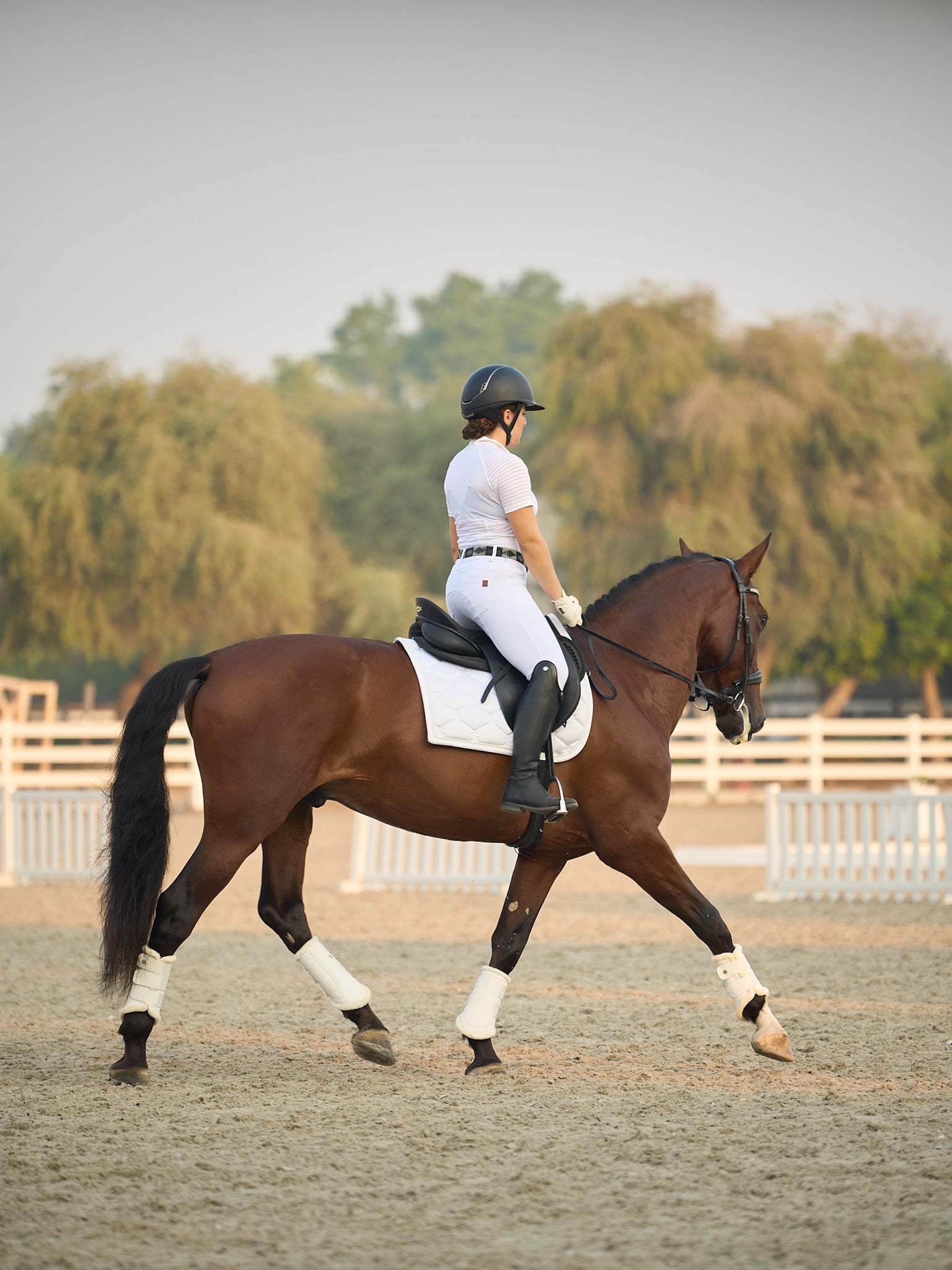 Remi — AKS KJ Photography