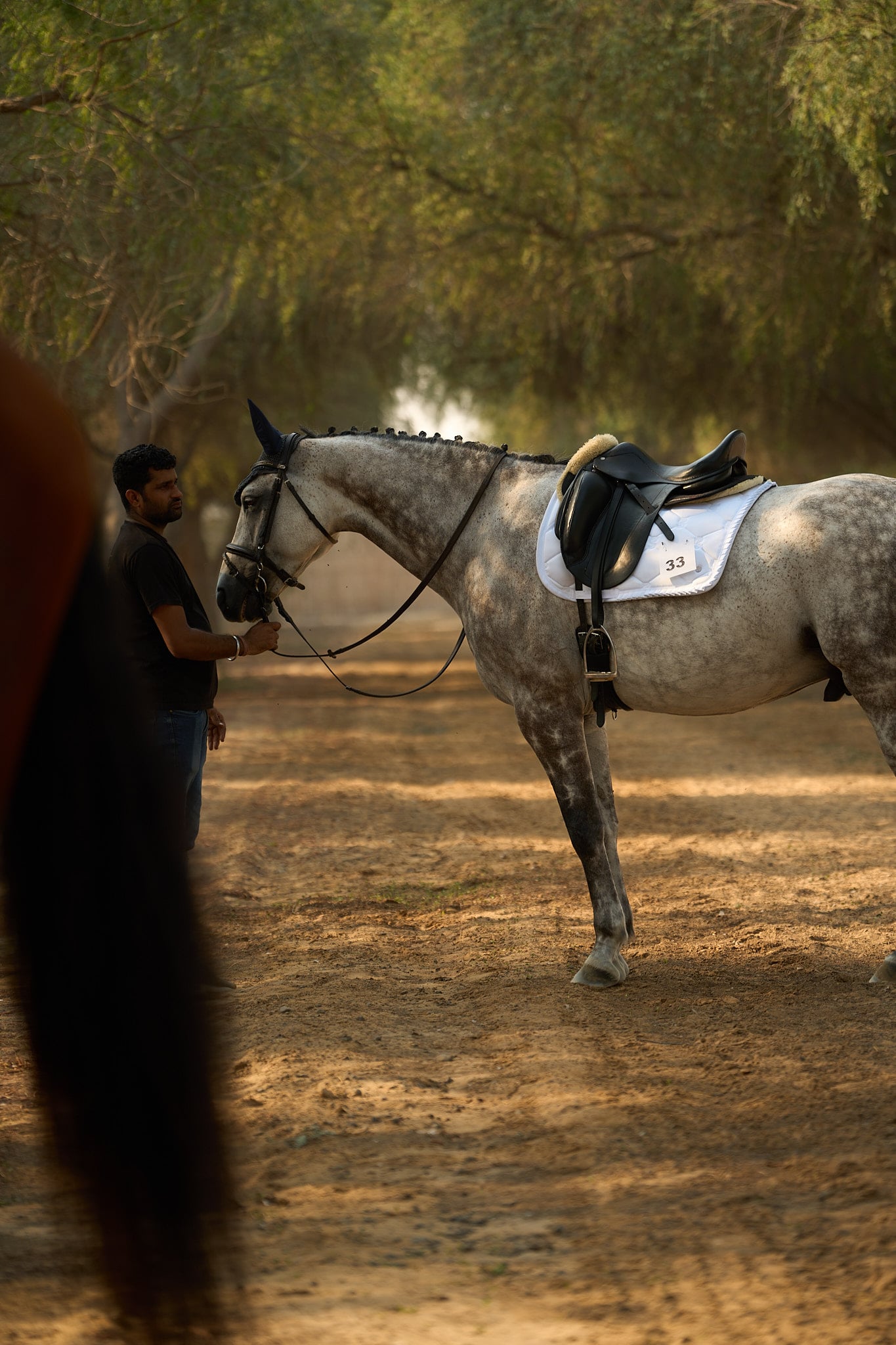The quietest sport in Dubai