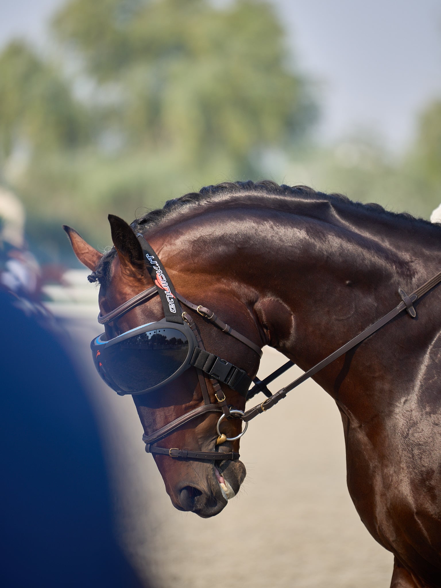 Remi — AKS KJ Photography