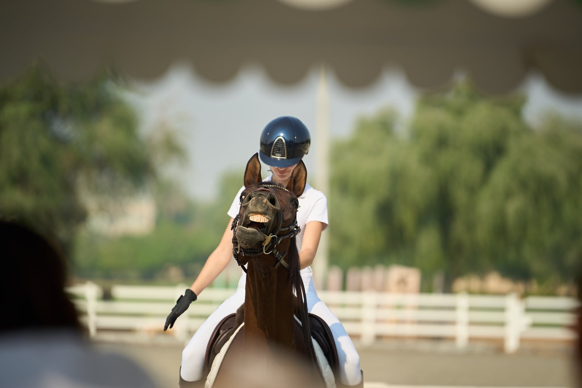 Remi — AKS KJ Photography