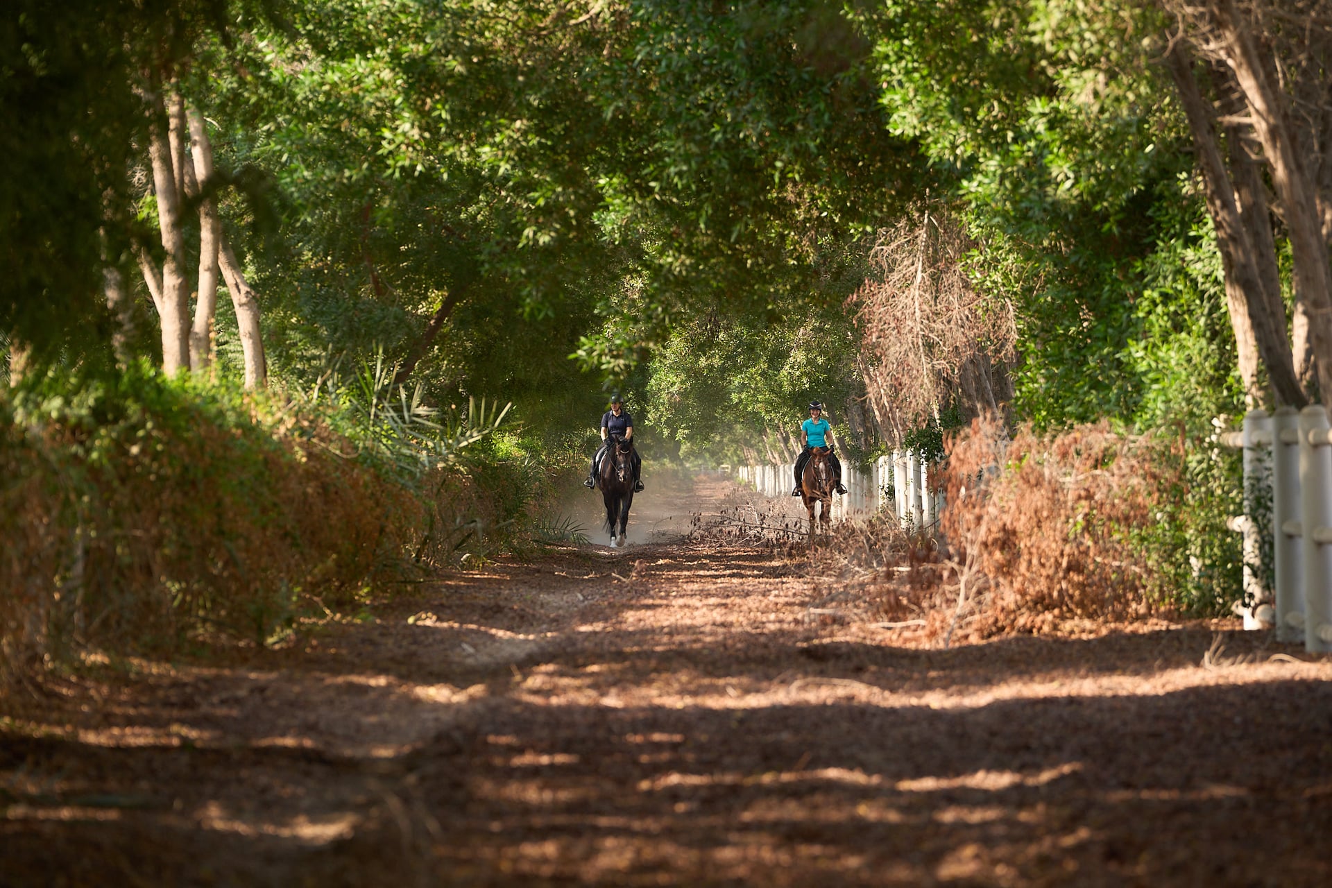 Three kilometres of dust